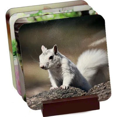 Drink coaster with printed squirrel photo.